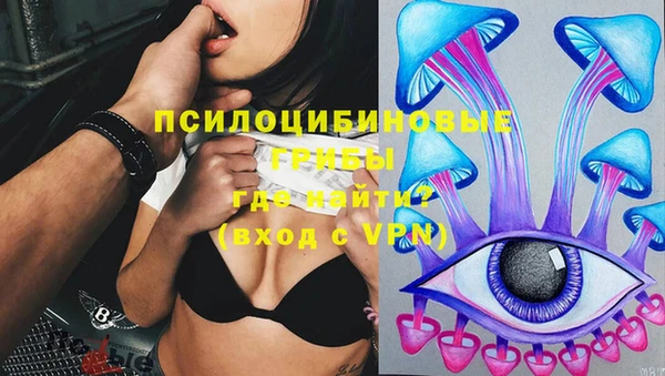 соль курить ск Алзамай